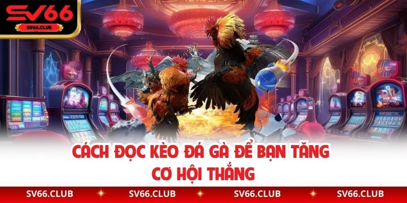 Cách đọc kèo đá gà để bạn tăng cơ hội thắng