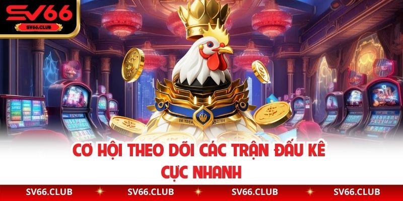 Cơ hội theo dõi các trận đấu kê cực nhanh